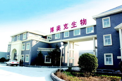 聊城高新区:居&ldquo;高&rdquo;路自远 创&ldquo;新&rdquo;拄长天 - 聊城信息港